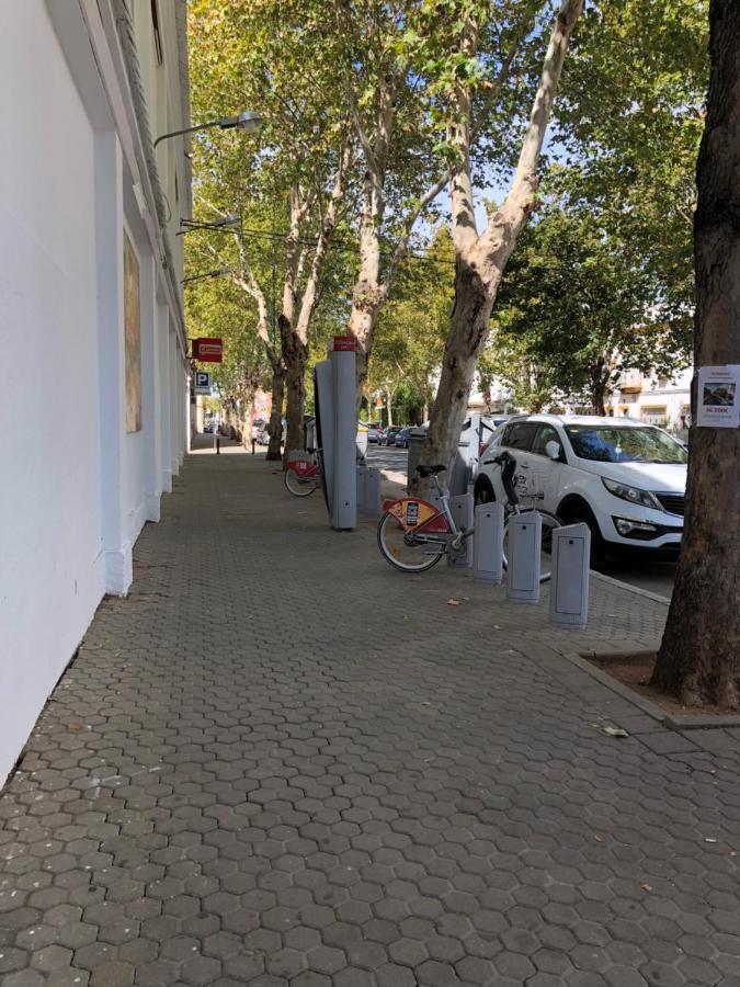 Apartamento 1 Dormitorio Y Salon Con Sofa Cama Bien Comunicado Con El Centro Seville Exterior photo